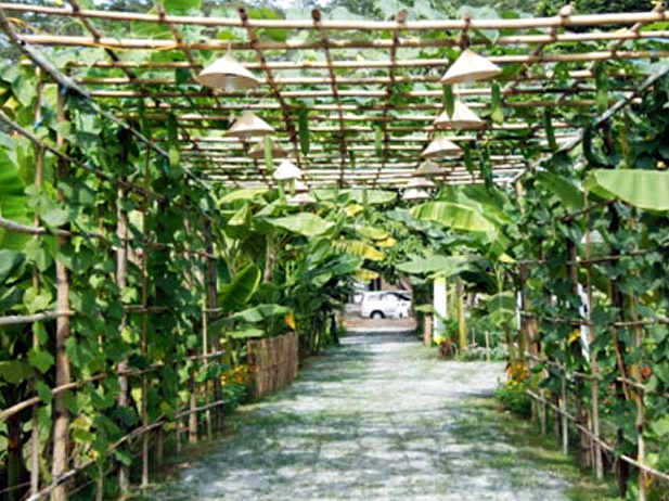 Hội hoa xu&acirc;n 2013: Dự kiến hơn 1 triệu người thưởng l&atilde;m